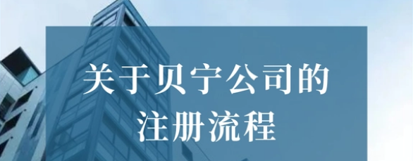 注冊(cè)貝寧公司的資料有哪些？可以注冊(cè)的公司形式有多少？