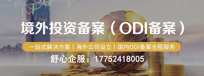 ODI備案項(xiàng)目名稱(chēng)