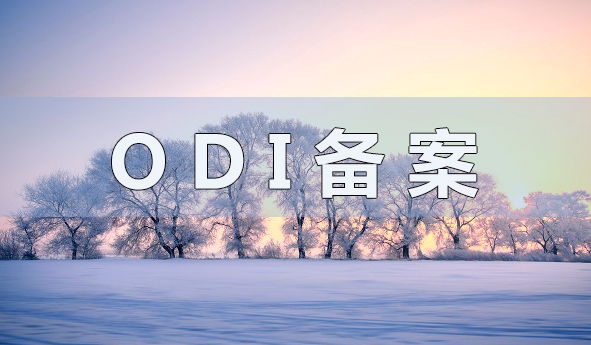 ODI權(quán)益登記是什么？