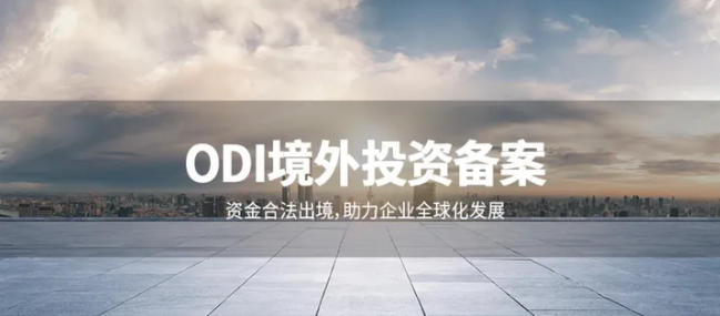 深入了解ODI投資主體：國(guó)際化投資的核心力量
